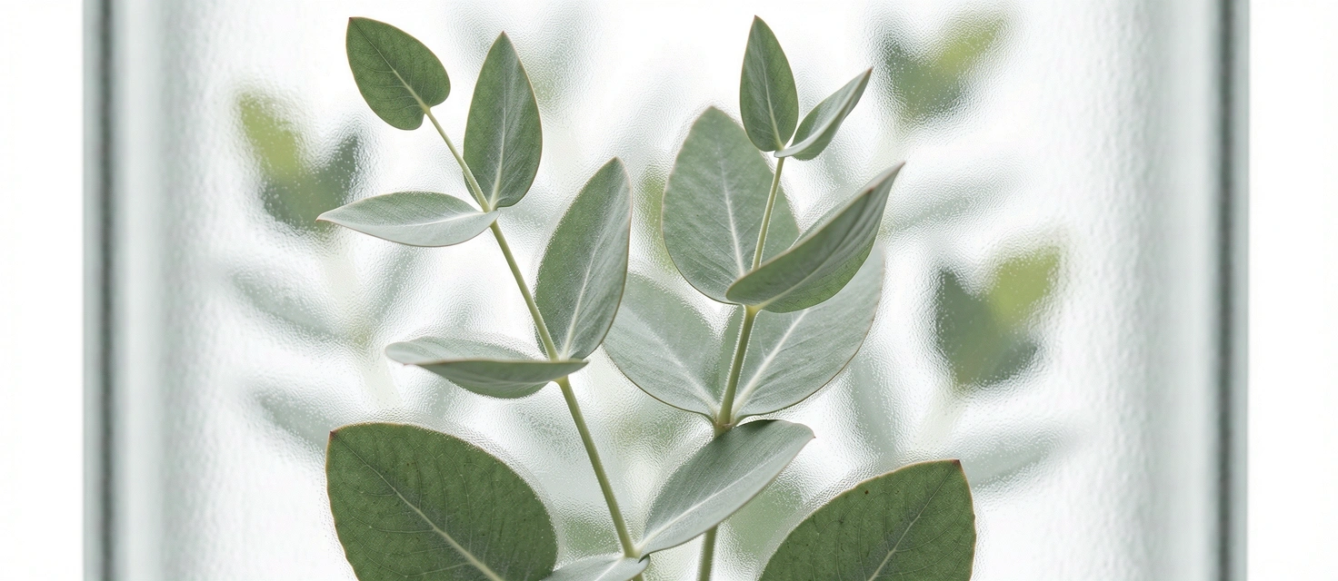 Botanische Präzision im Wellness Frauen Studio